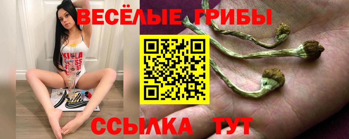 Коломна  Псилоцибиновые грибы GOLDEN TEACHER  Вход с VPN 